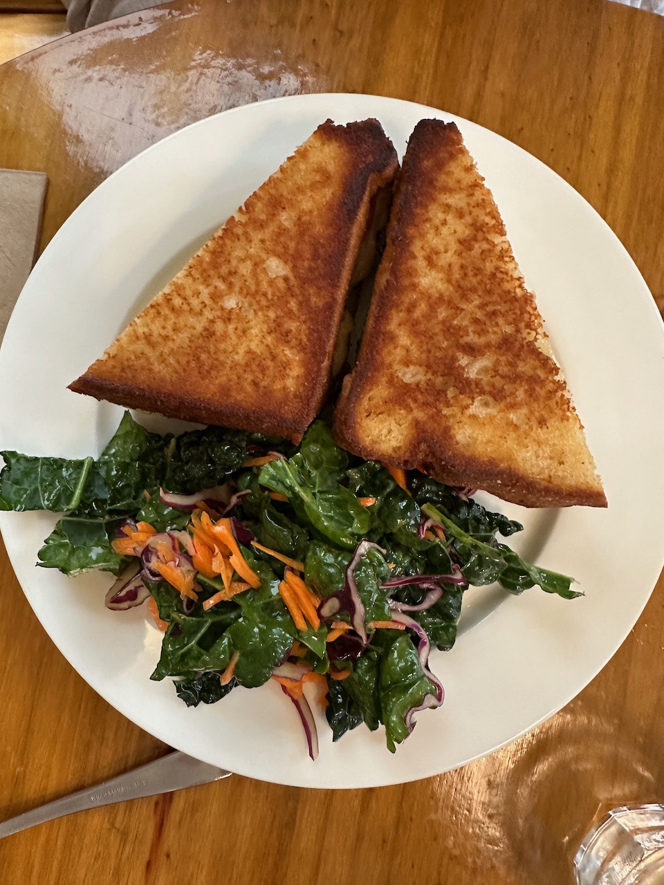 Grilled cheese and salad on white plate.