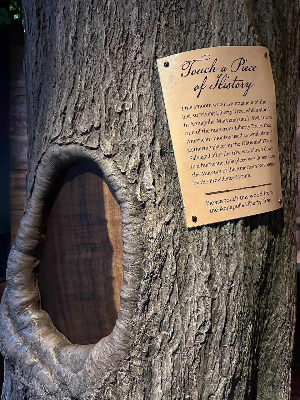 Recreation of Liberty Tree, with wood from Annapolis Liberty Tree on display.