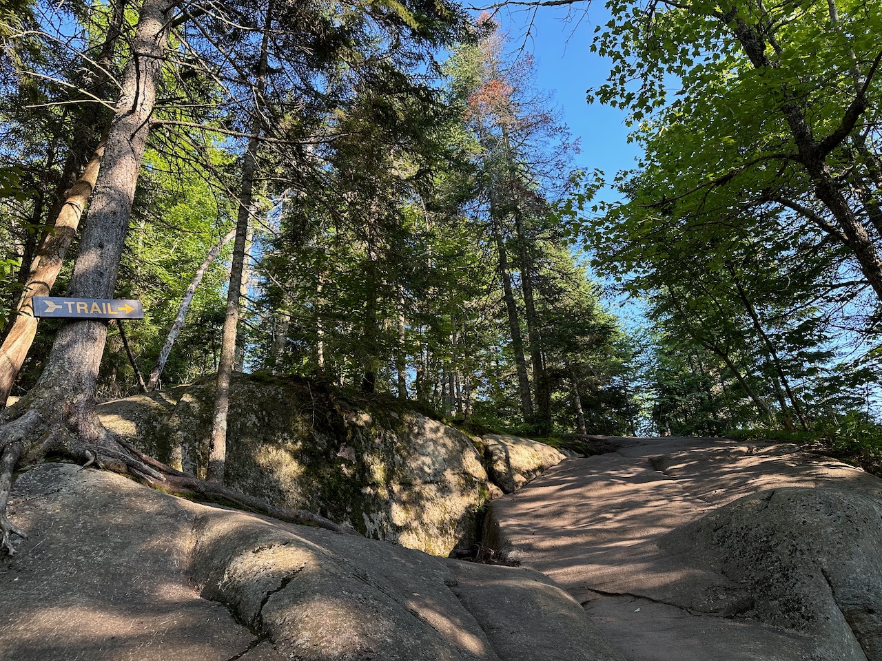 Rock slab trail, with sign on tree branch that says TRAIL.