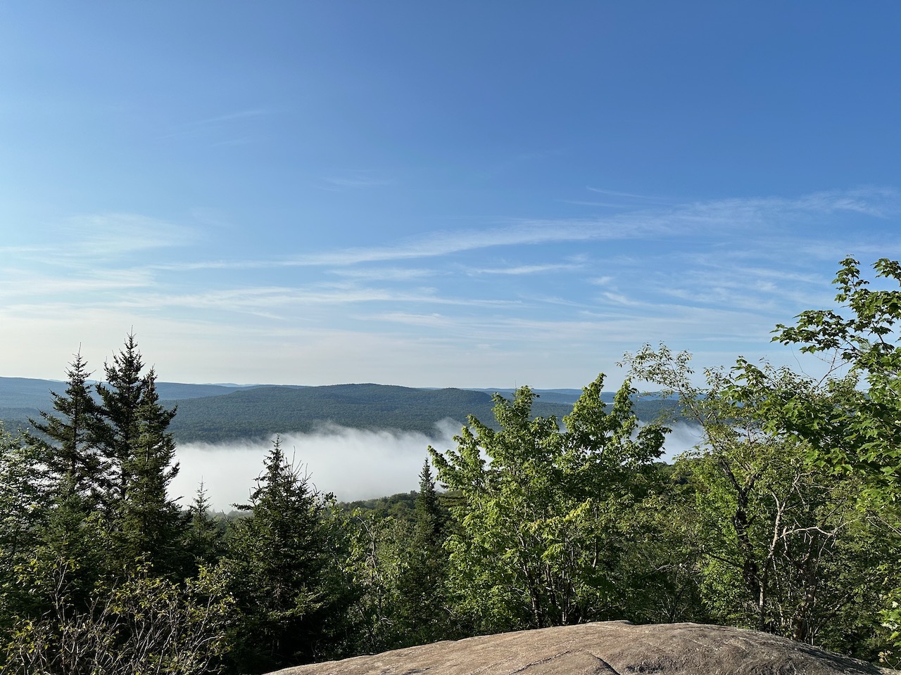 View of for over Fourth Lake, with trees in foreground.