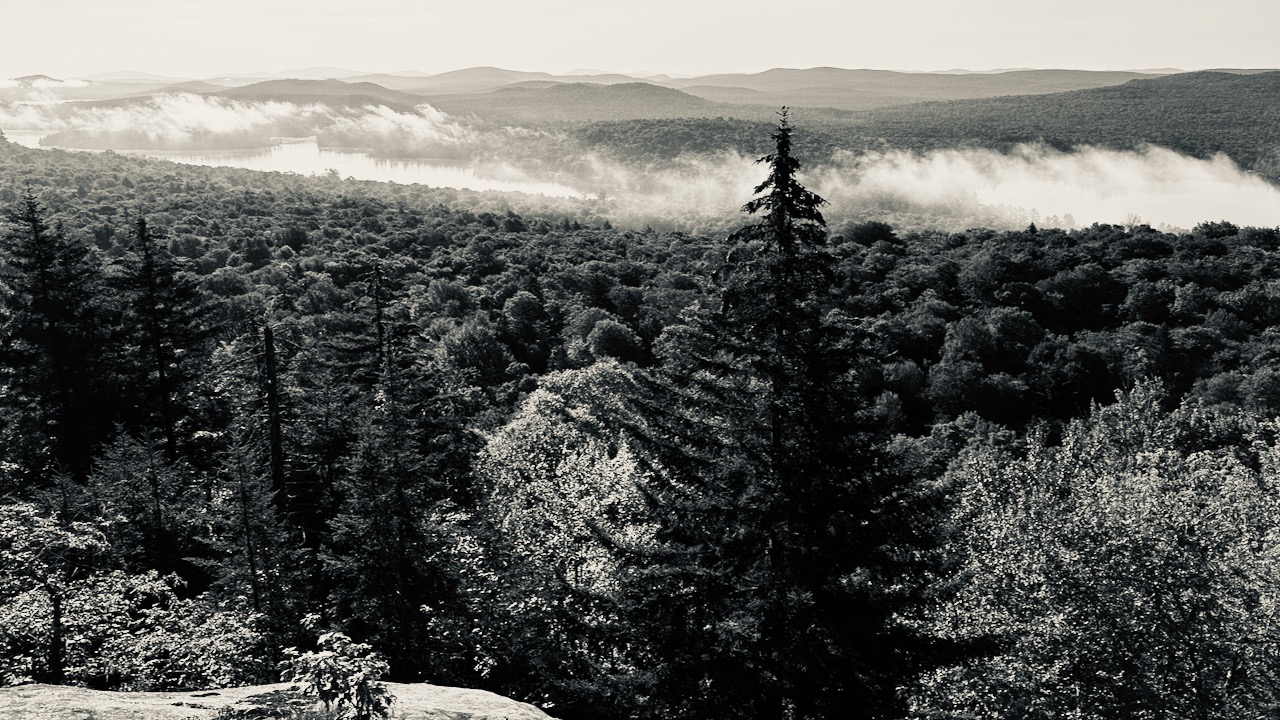 Black and white image of fog over lake.