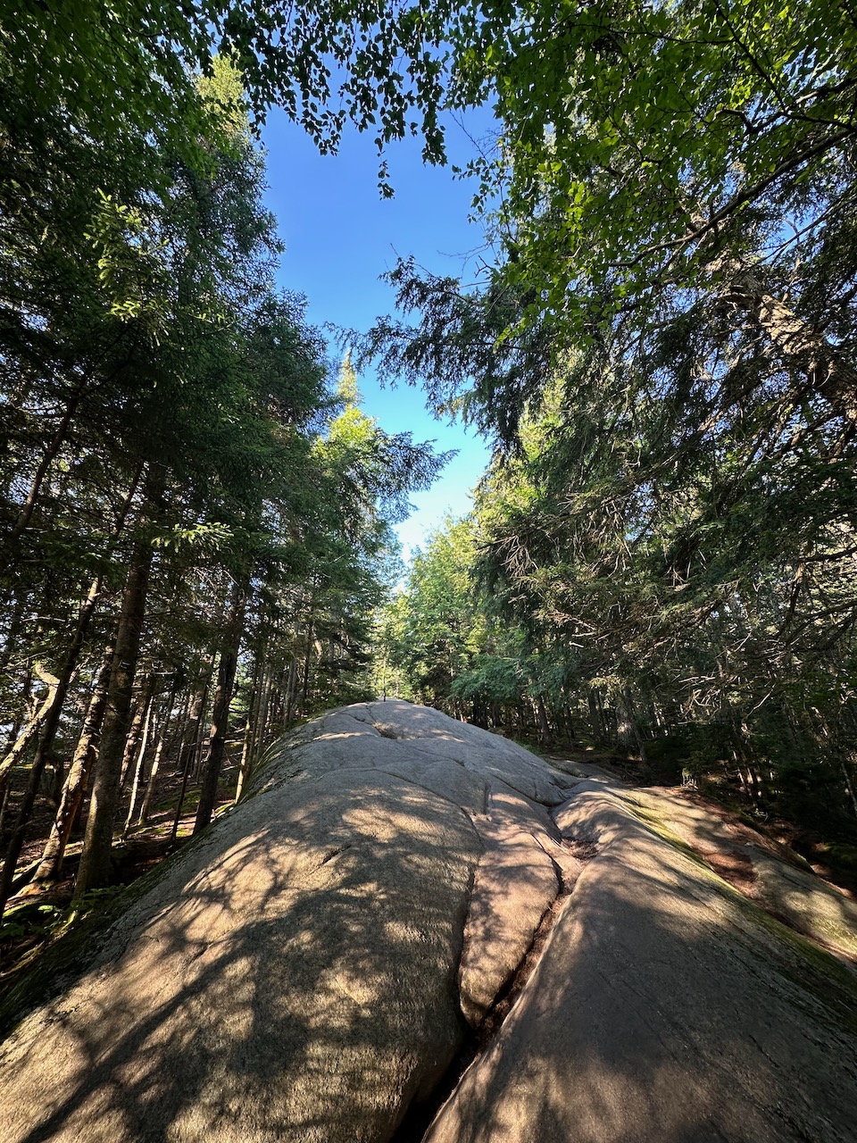 Rock slab trail heading up the mountain.