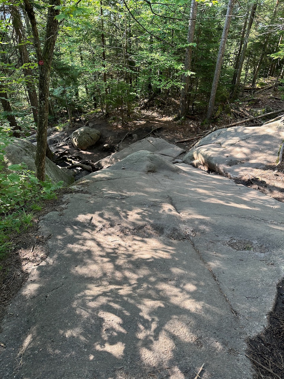 Downward view of trail.