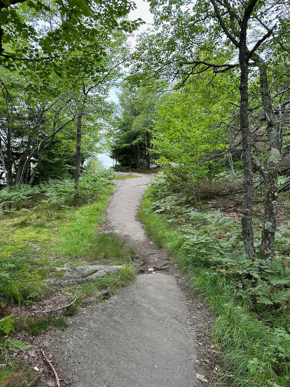Rock slab trail leading toward summit.