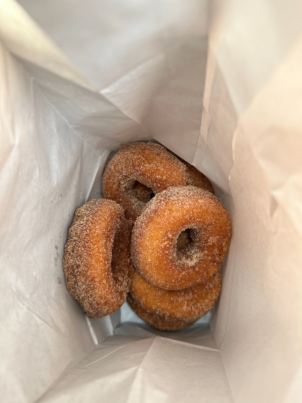Bag of donuts.