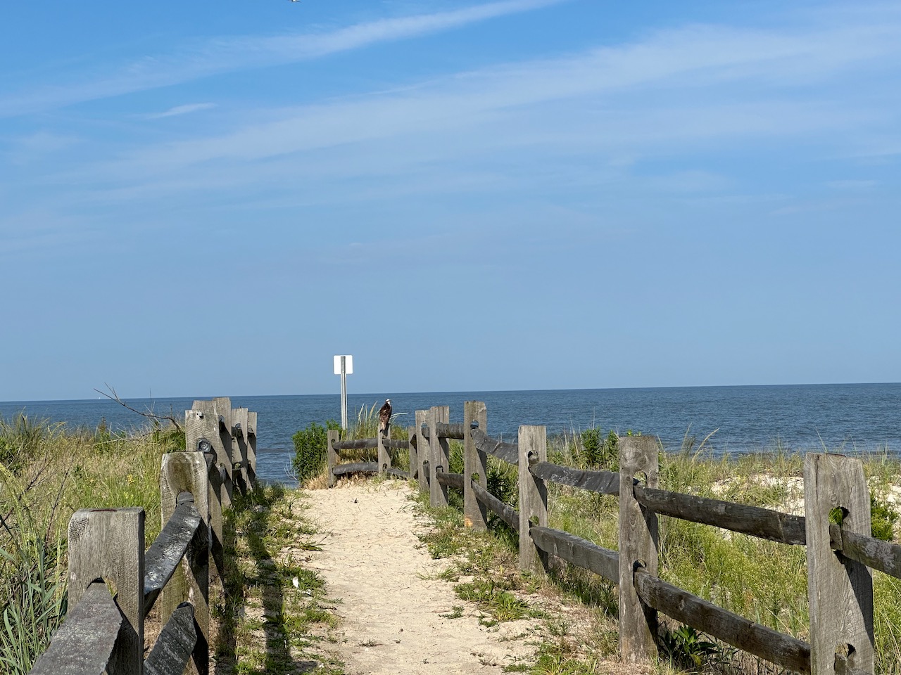 Path leading through dunes to ocean.
