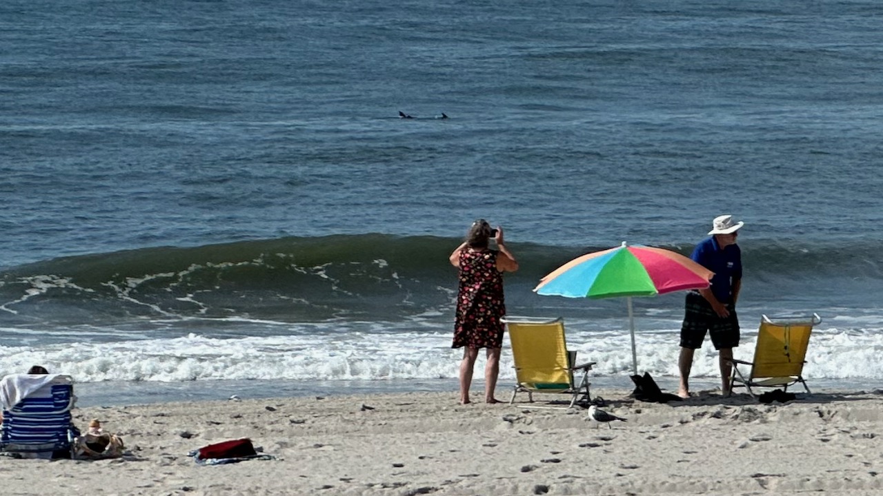 Two people standing along water's edge on beach, with two dolphin fins visible in distance.