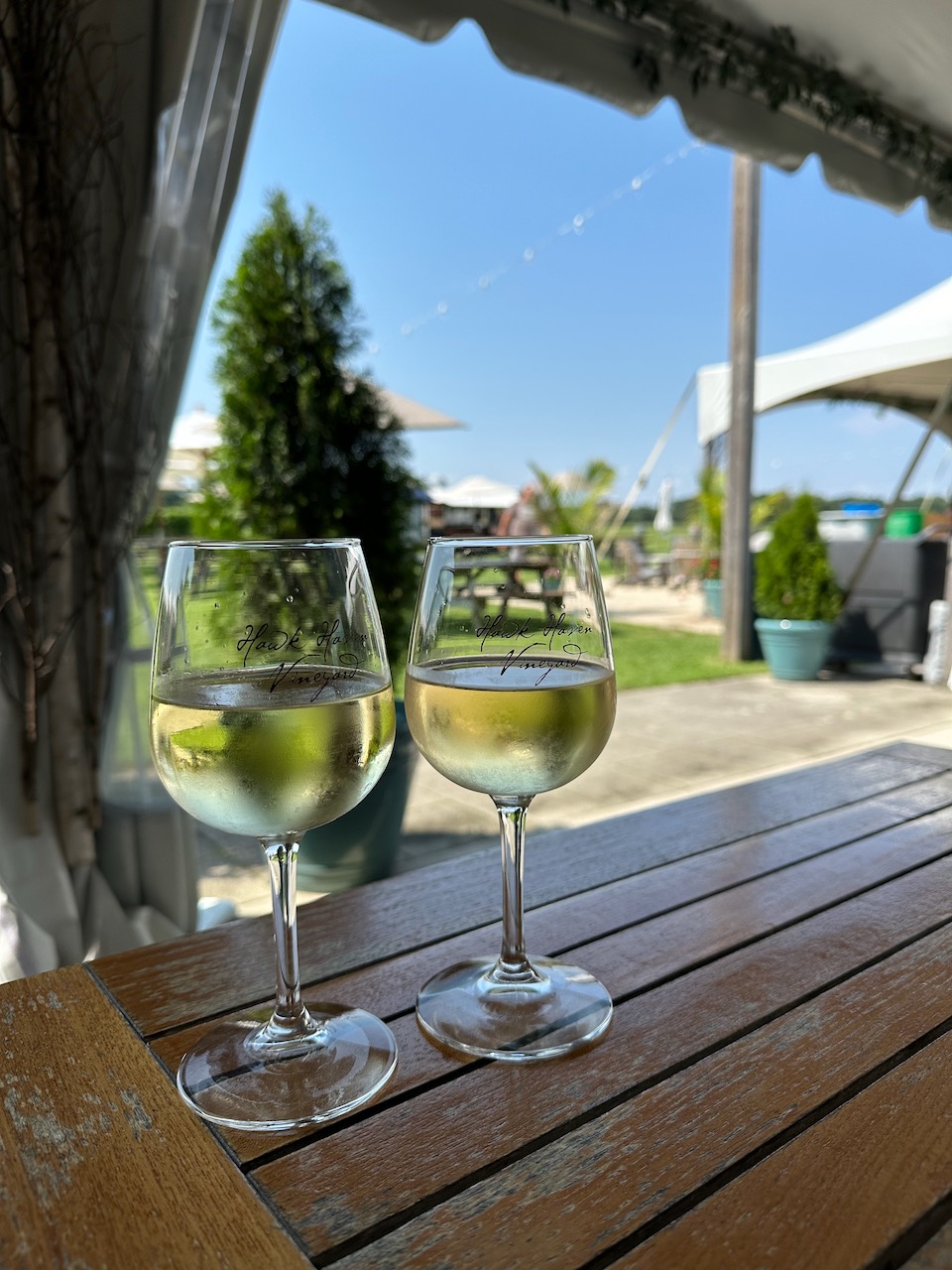 Two glasses of wine on wooden patio table.