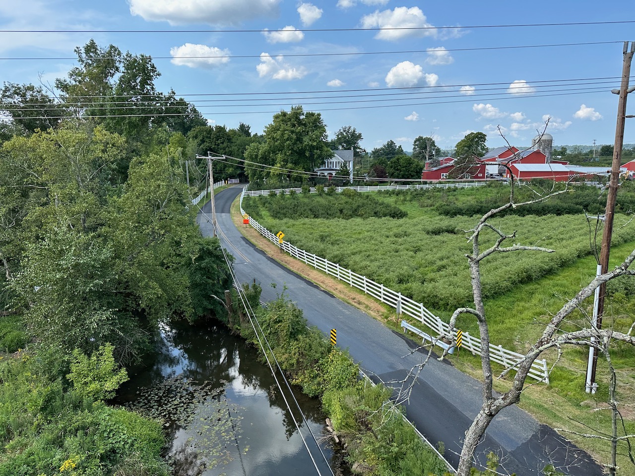 View of rural road with farmhouse in distance, and creek in foreground.