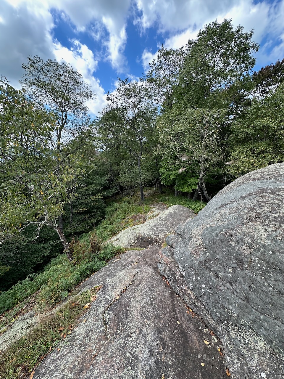 View of rock slabs on top of Eagle Cliff, facing downhill.