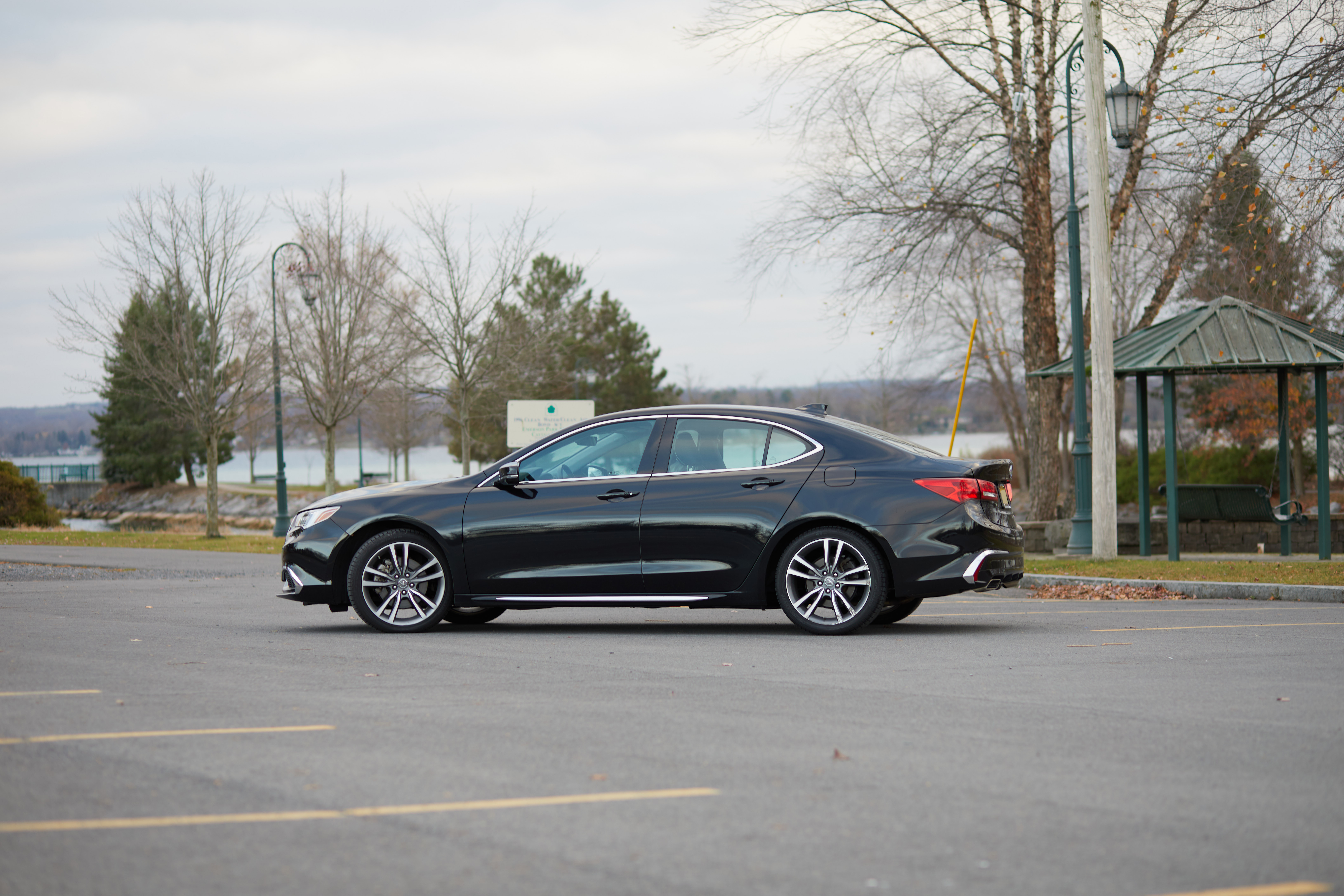 2020 Acura TLX in parking lot of Emerson Park.