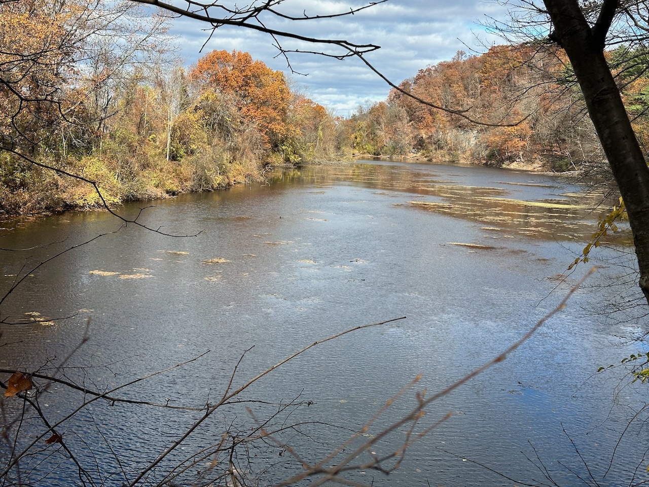 View of Sunfish Cove.