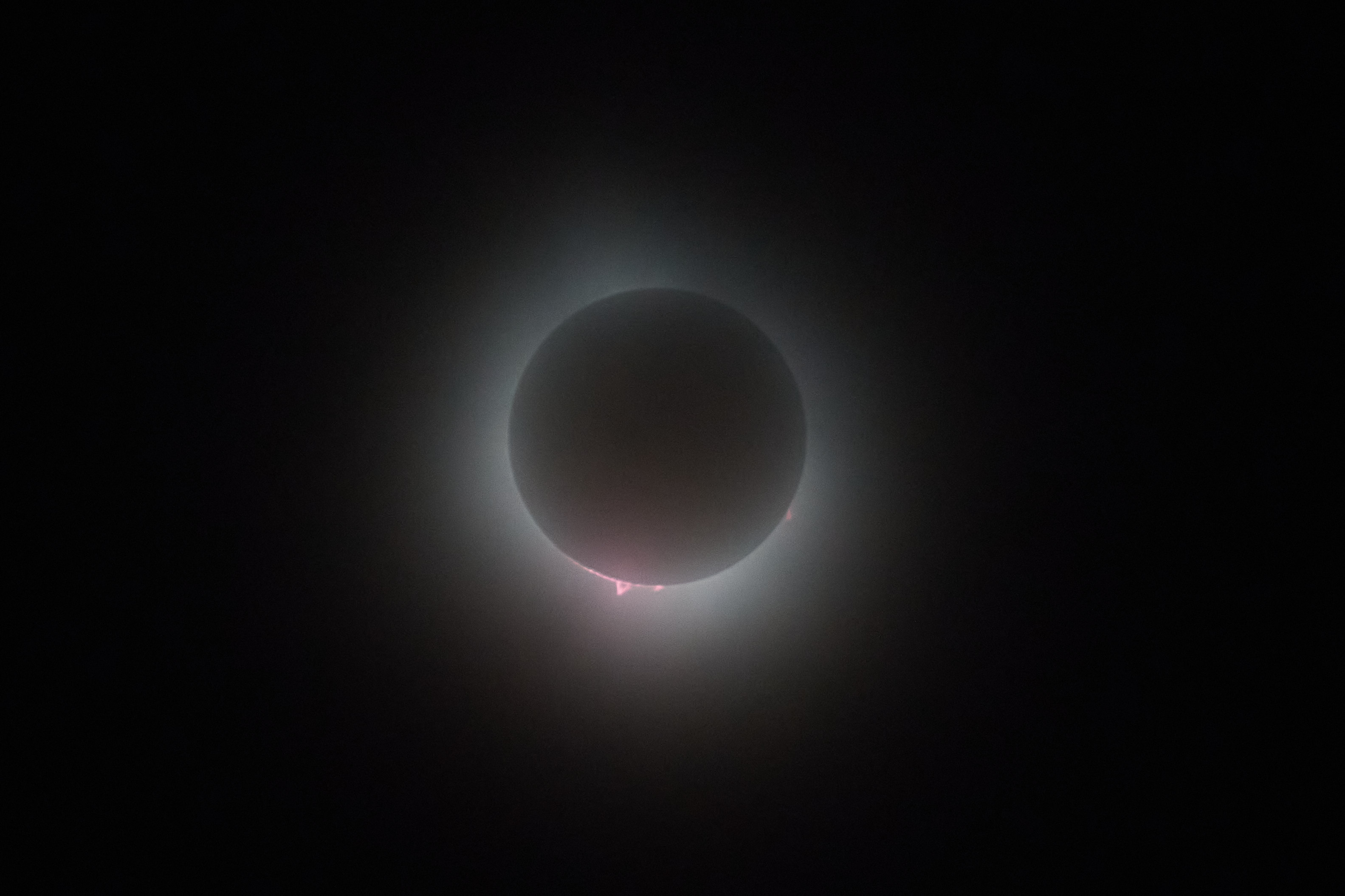 View of solar eclipse, with flares visible in corona.