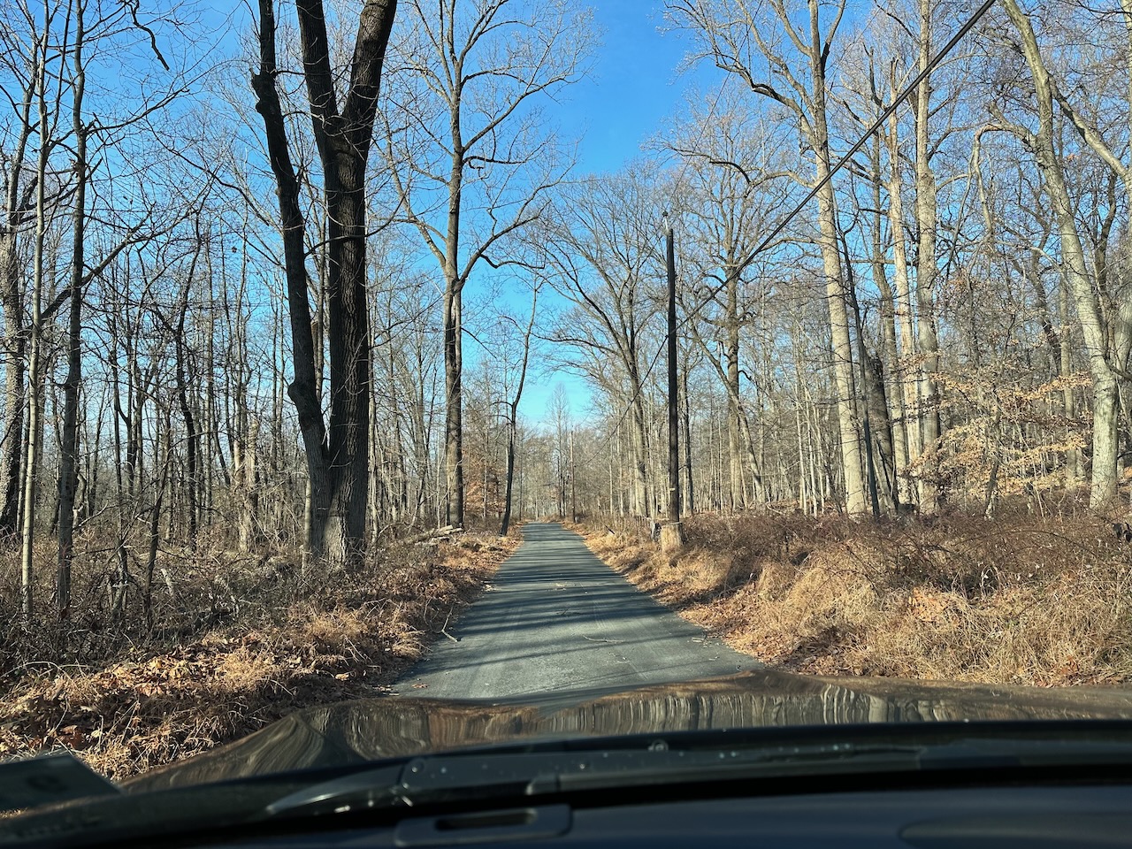 Narrow road in county park.