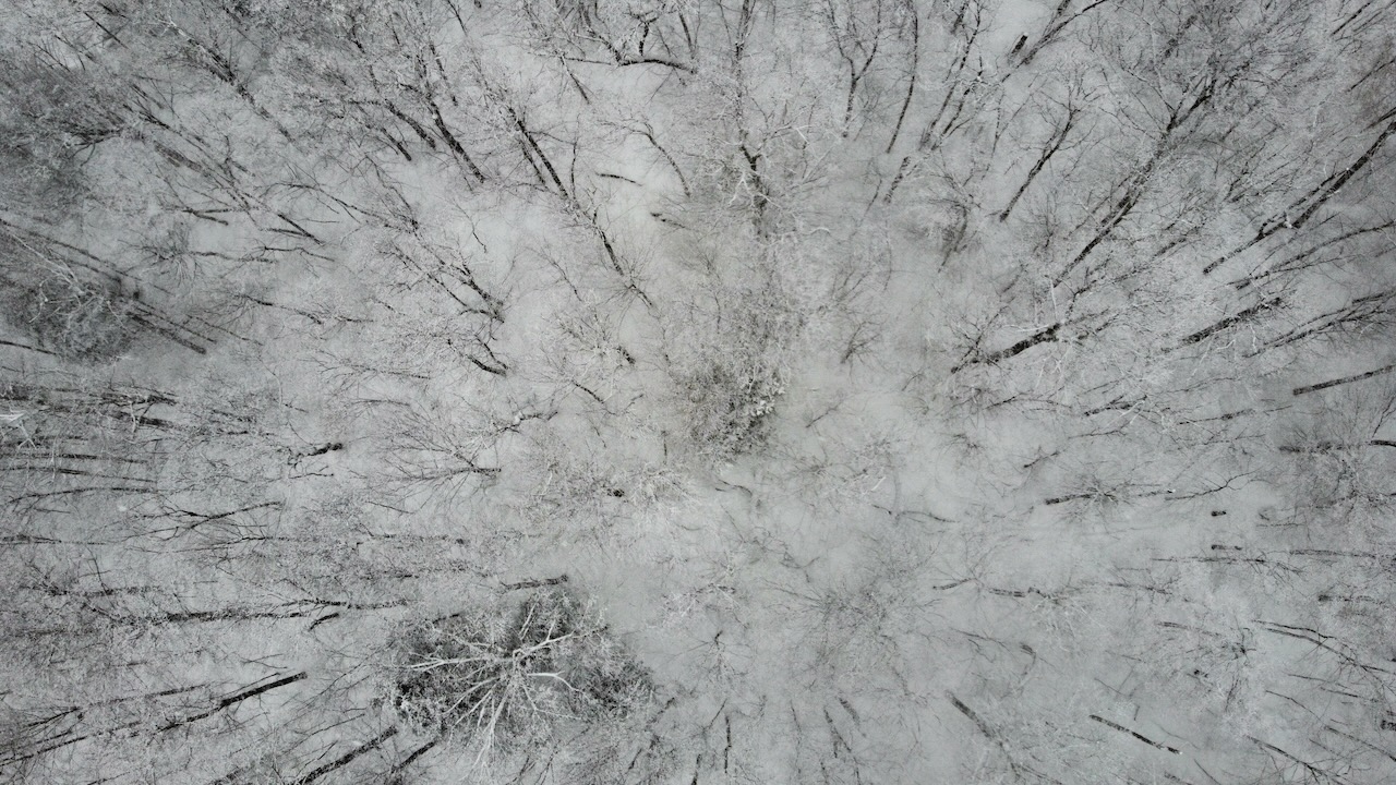 Downward view of snow-covered landscape and trees.