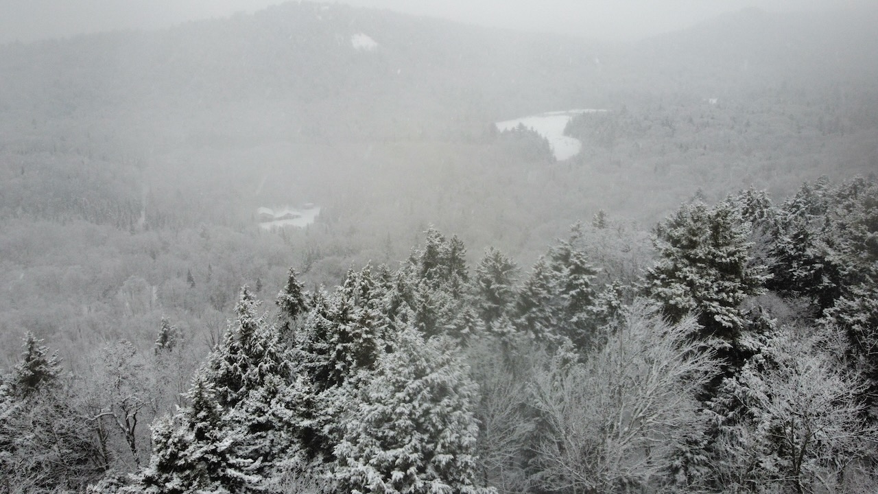 View of trees and mountains in the snow.