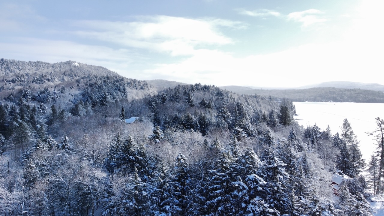 Snow-covered trees and mountains, under a partially cloudy sky. 
