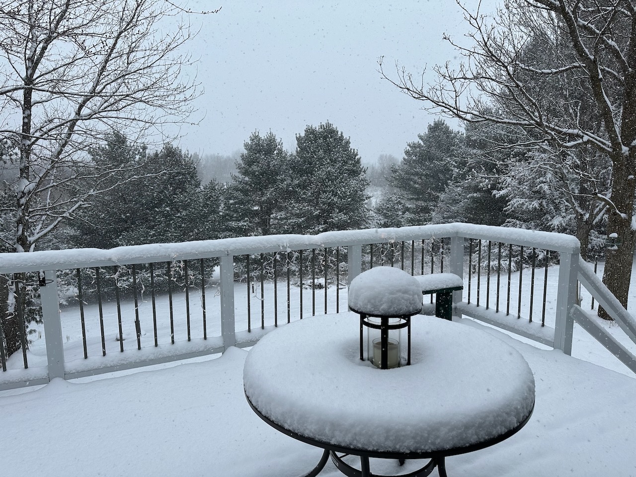Snow-covered porch overlooking tree-lined back yard. 