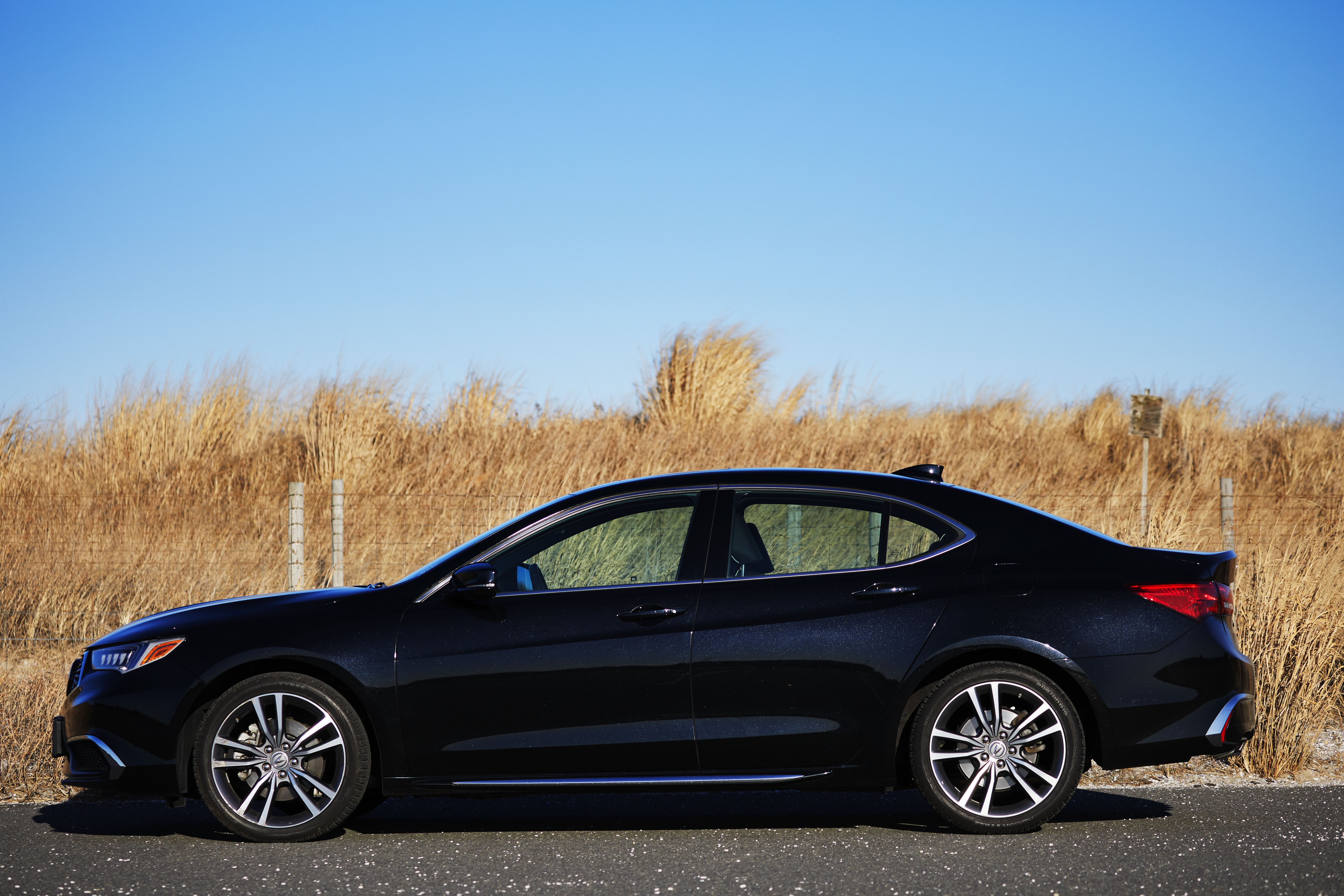 2020 Acura TLX parked in front of beach grass. 