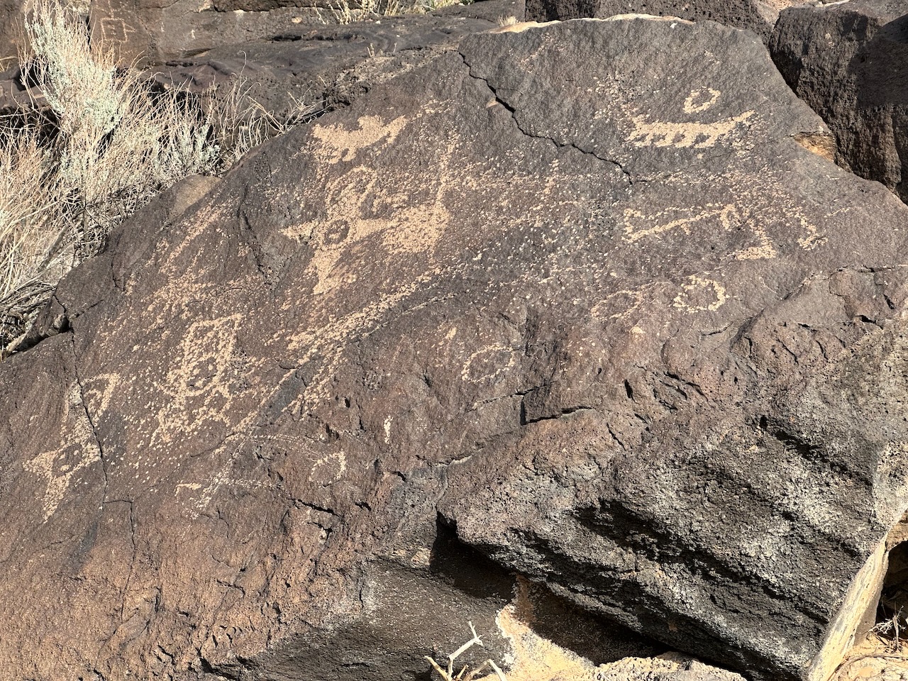 Petroglyphs on rock. 