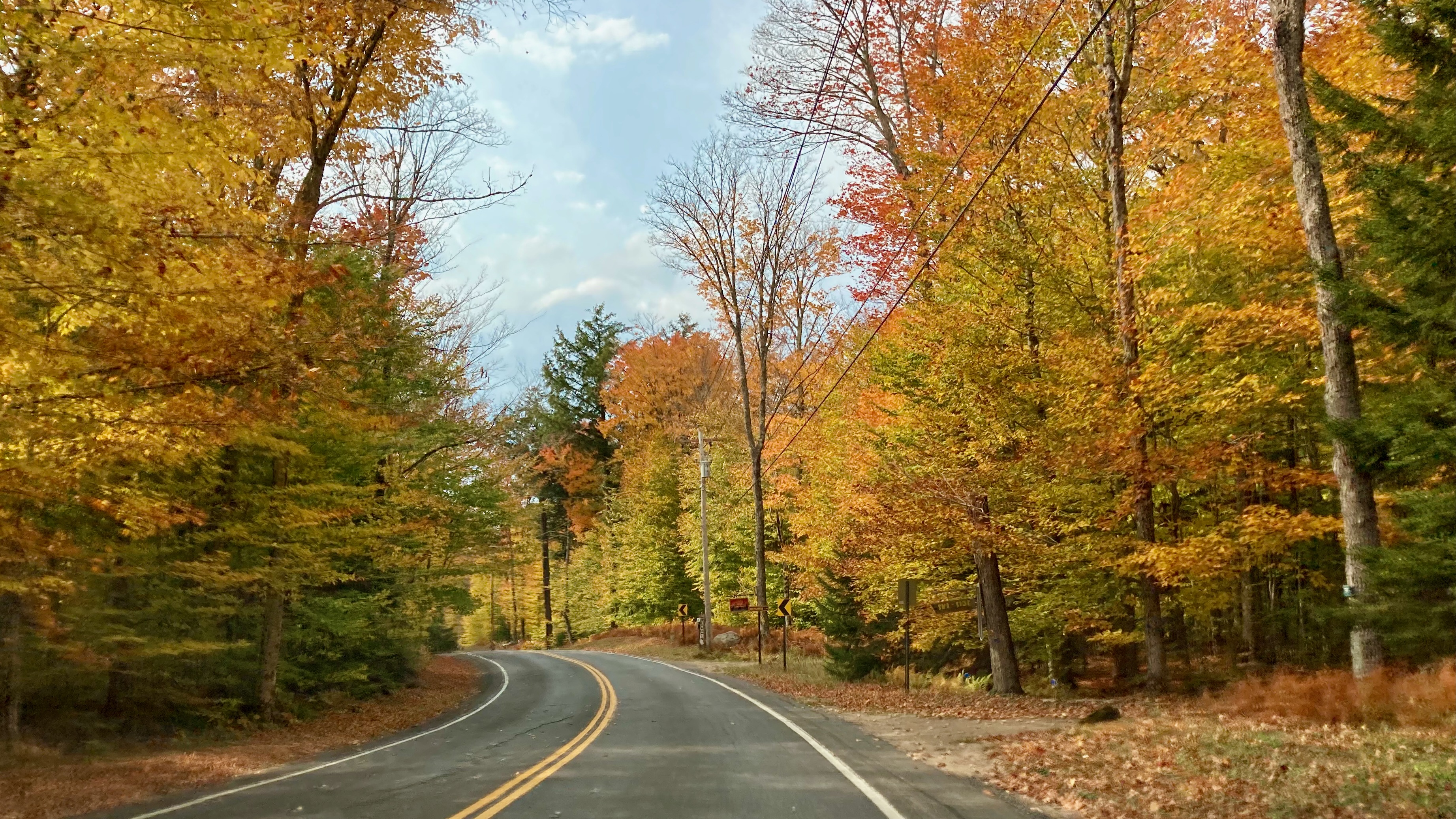 View of South Shore Road, with leaves changing color to gold and red. 
