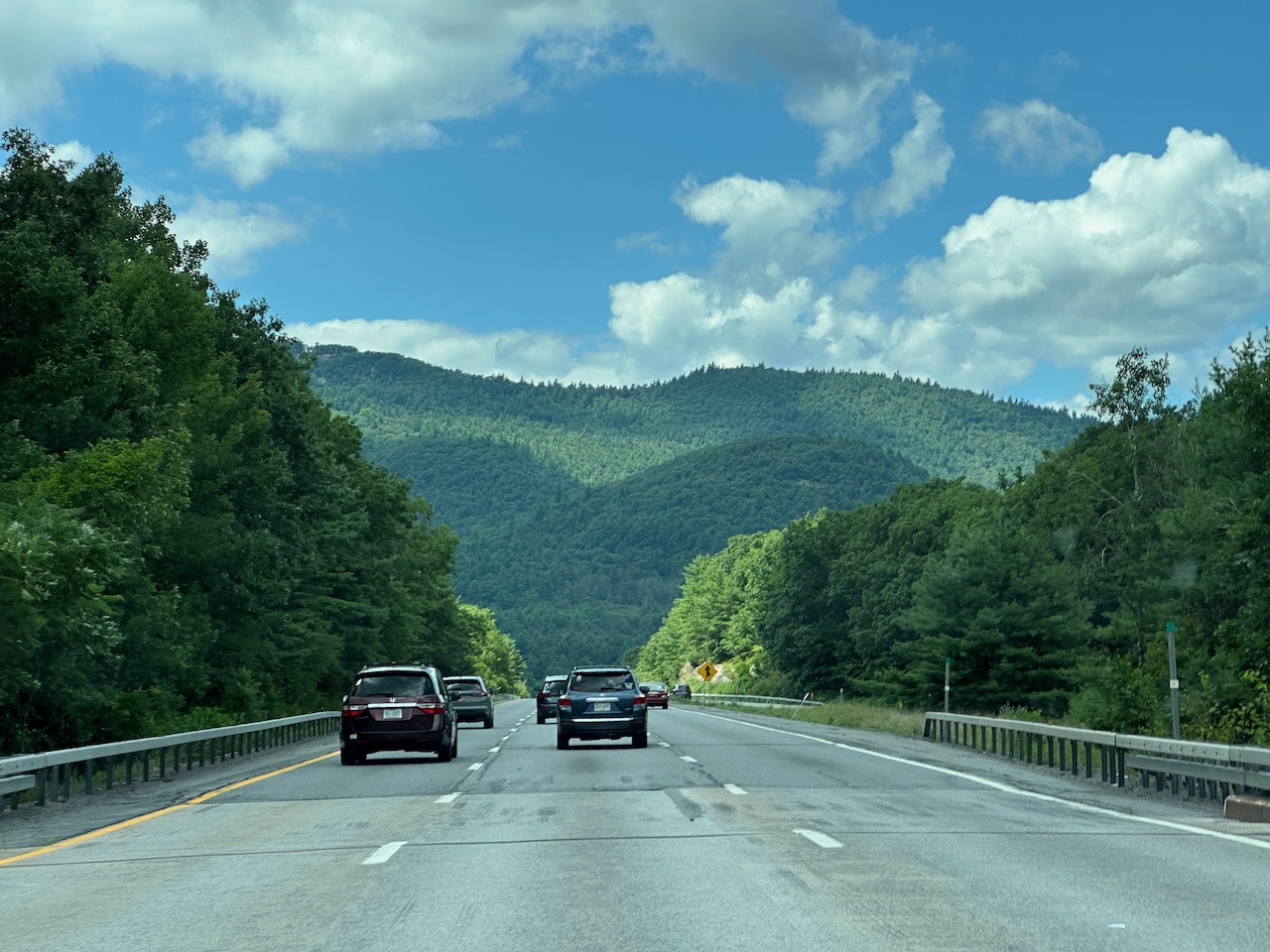 View of New York Thruway with mountains in distance.