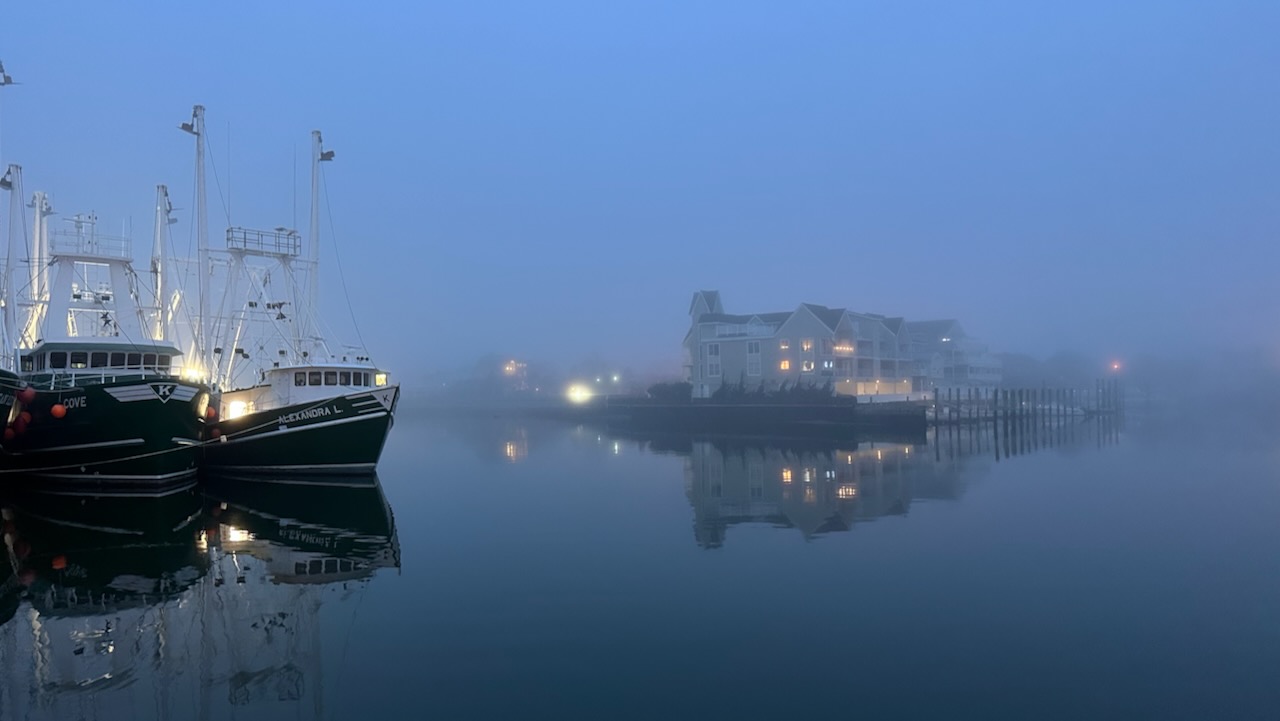 Fog-covered harbor in Cape May, with fishing boats tied to pier on left side of image and houses in distance at center. 