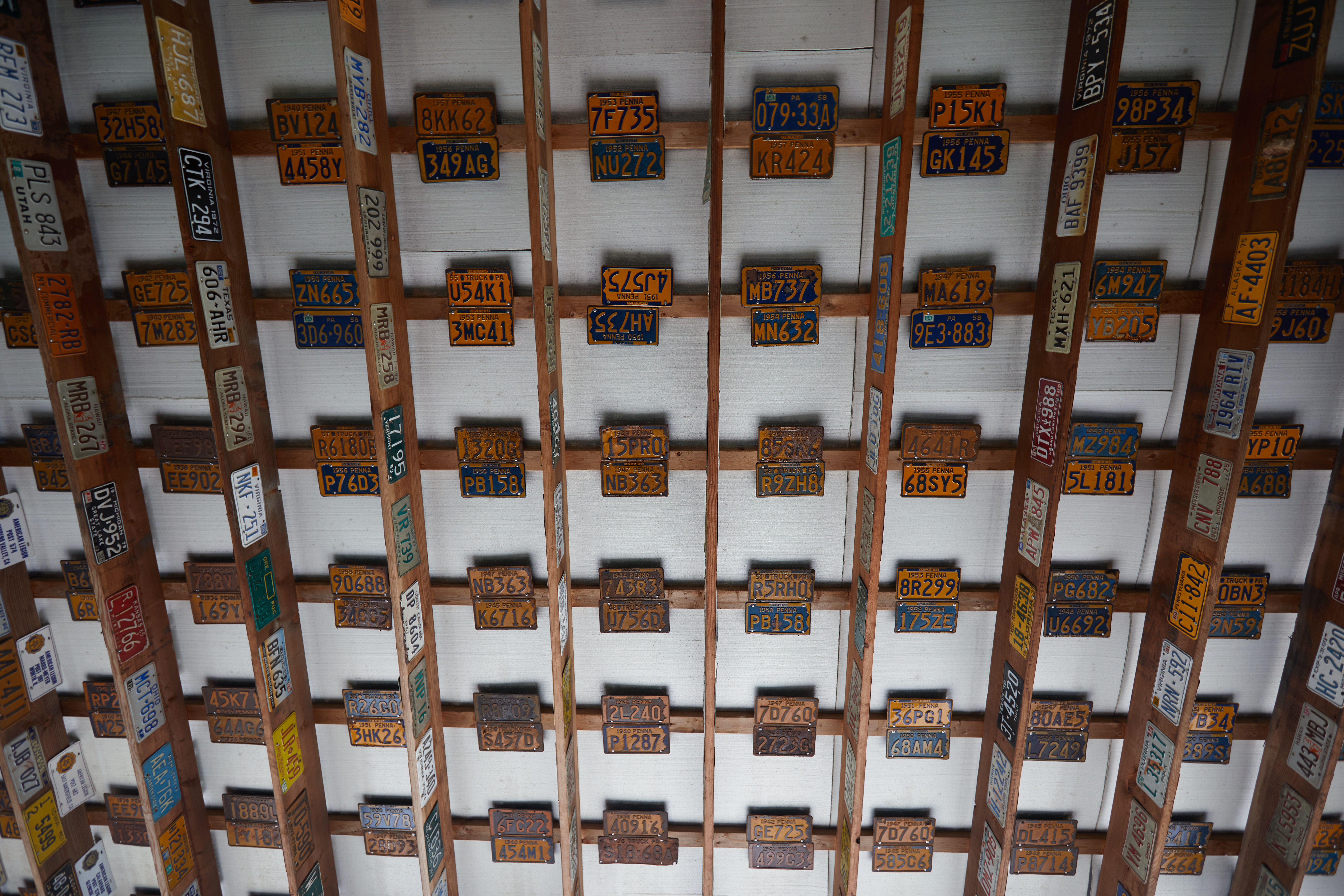 Ceiling covered in license plates.