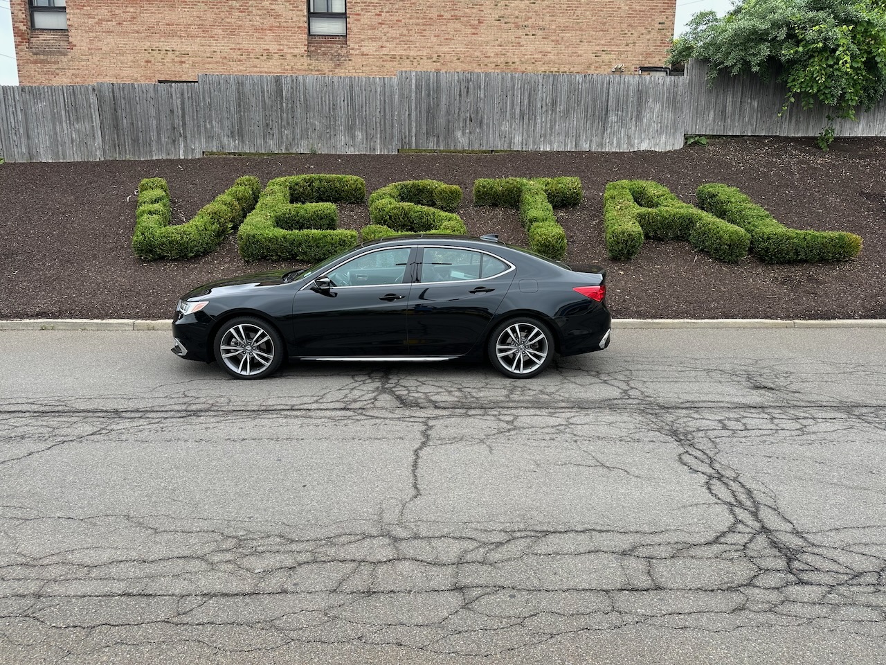 2020 Acura TLX parked in front of top shrubs trimmed into the word Vestal.
