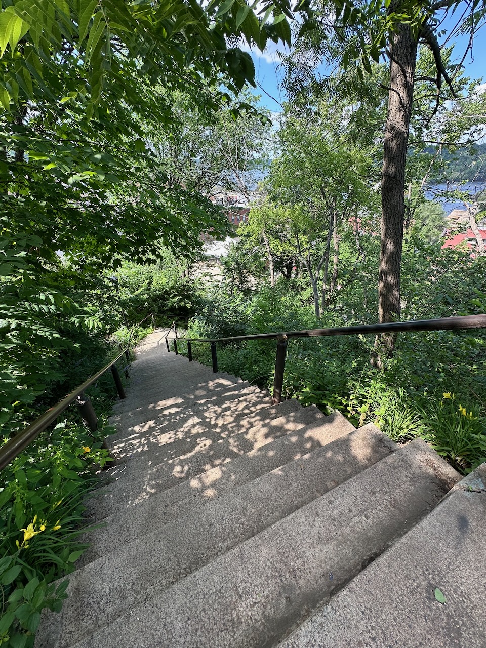 Concrete stairs on side of hill in Stillwater.
