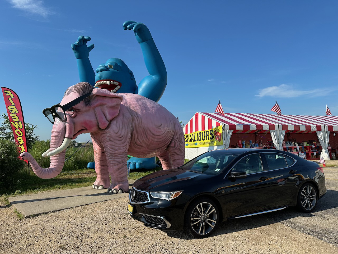 2020 Acura TLX parked in front of top pink elephant statue.