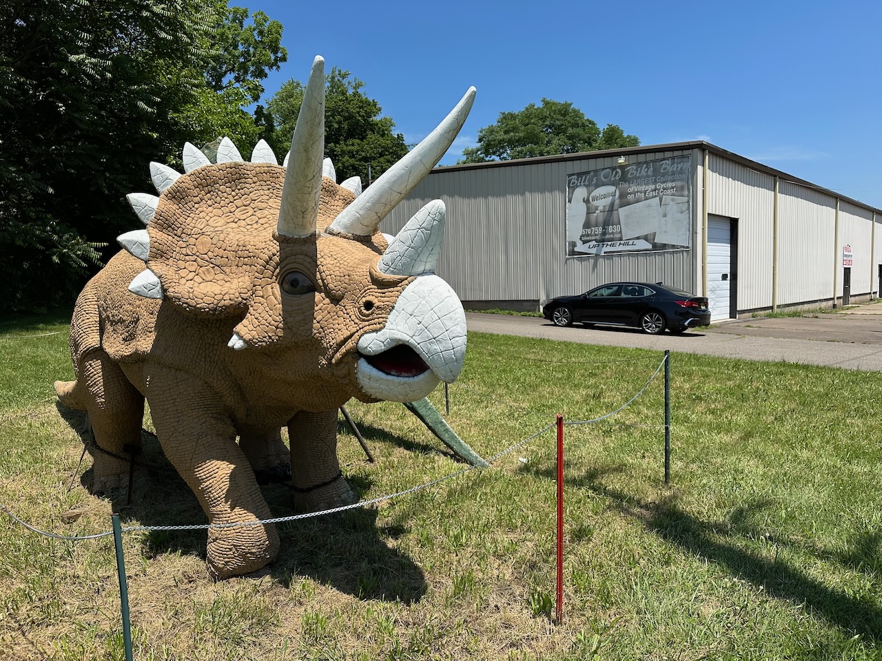 Triceratops statue, with warehouse and 2020 Acura TLX in background.