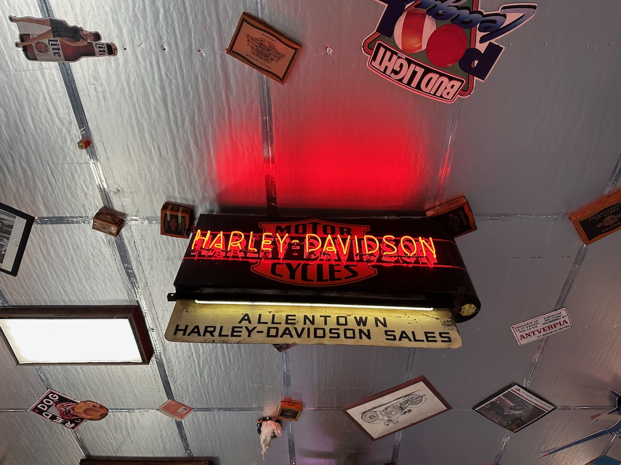 Neon Harley-Davidson sign hanging from ceiling of museum.