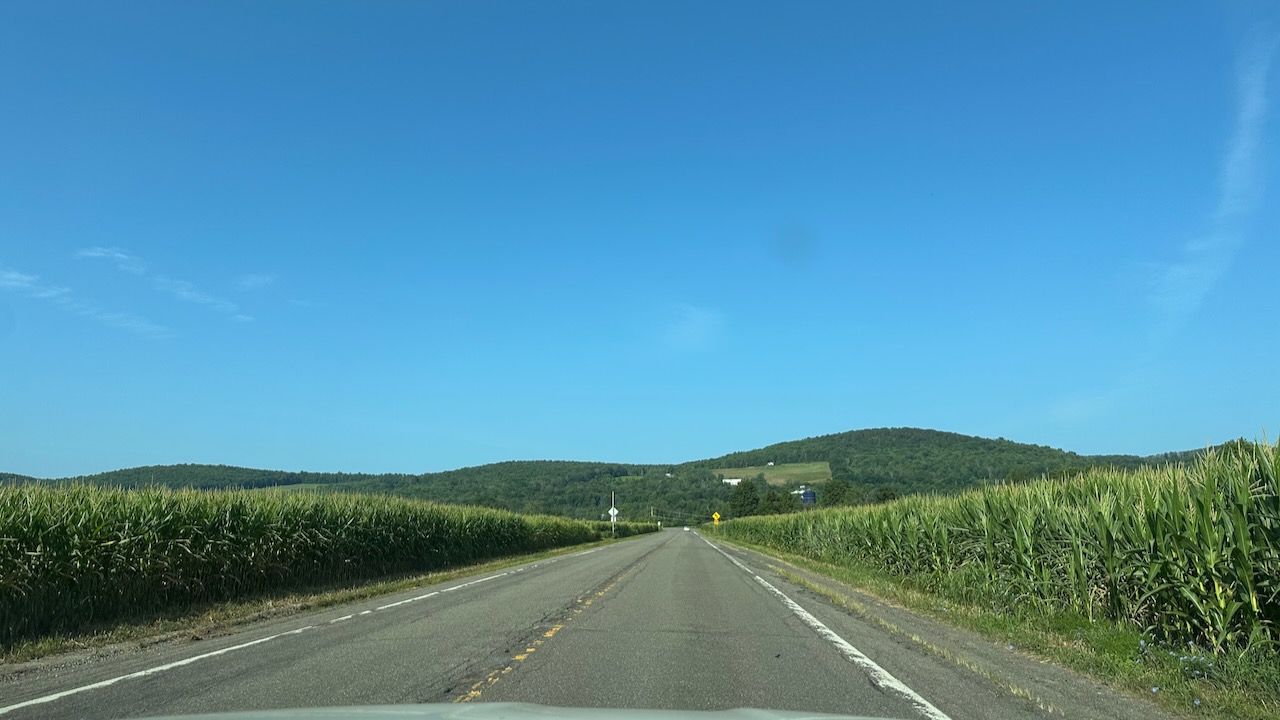 View of fields of corn on either side of road, with mountains in distance.