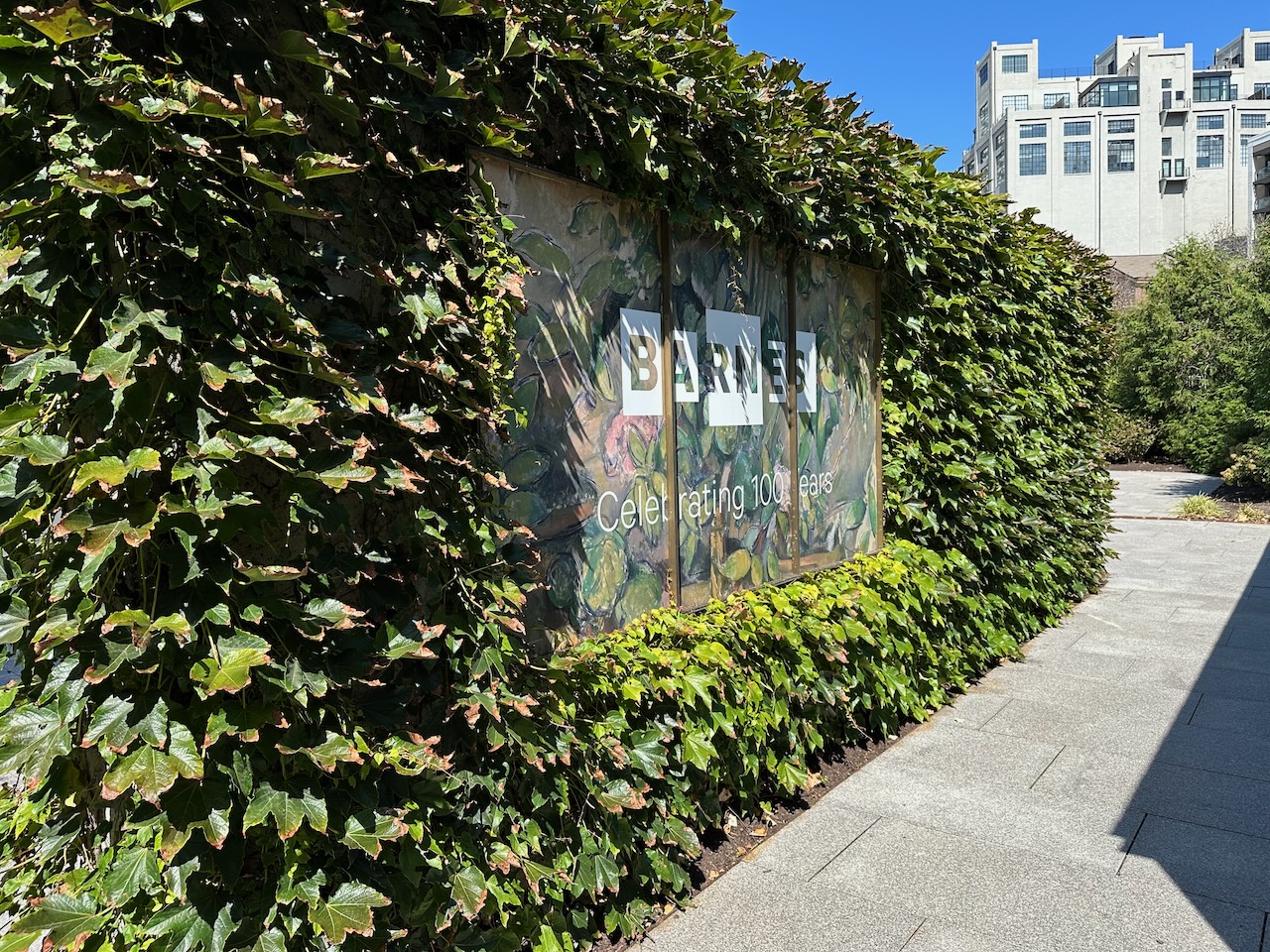 Ivy-covered wall outside of museum that has a sign that reads Barnes Celebrating 100 Years.