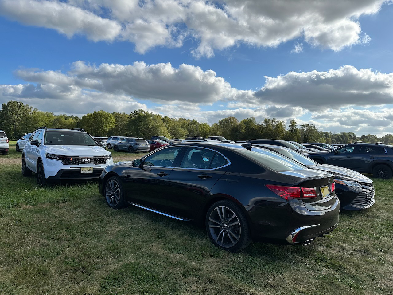 2020 Acura TLX parked in grassy field.