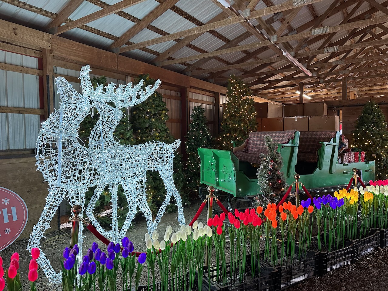 Building filled with tulips, with reindeer and sleigh.