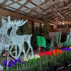 Christmas in September!