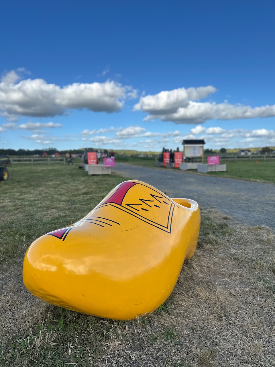 Large wooden clog on ground.