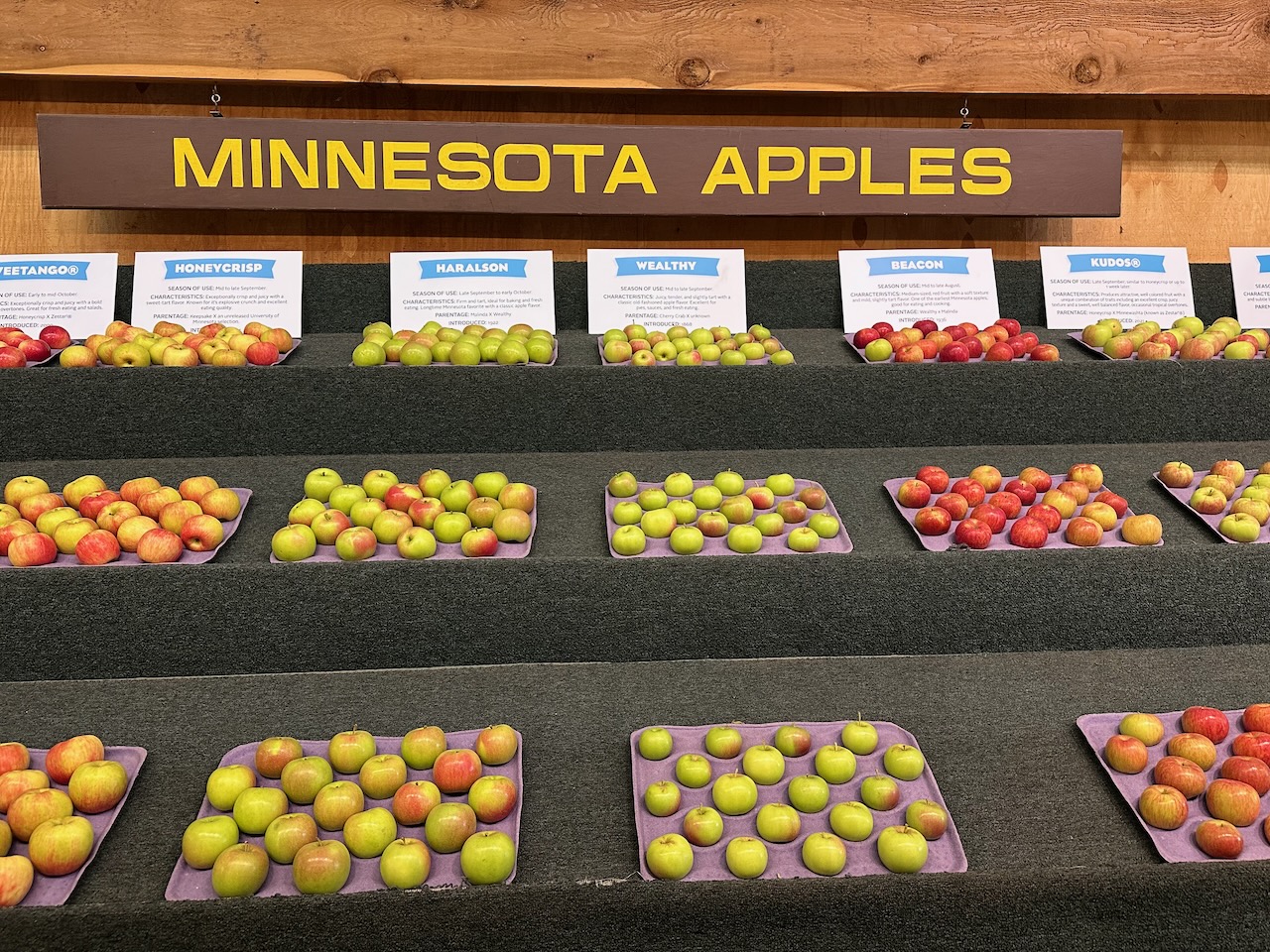 Display of Minnesota Apples.