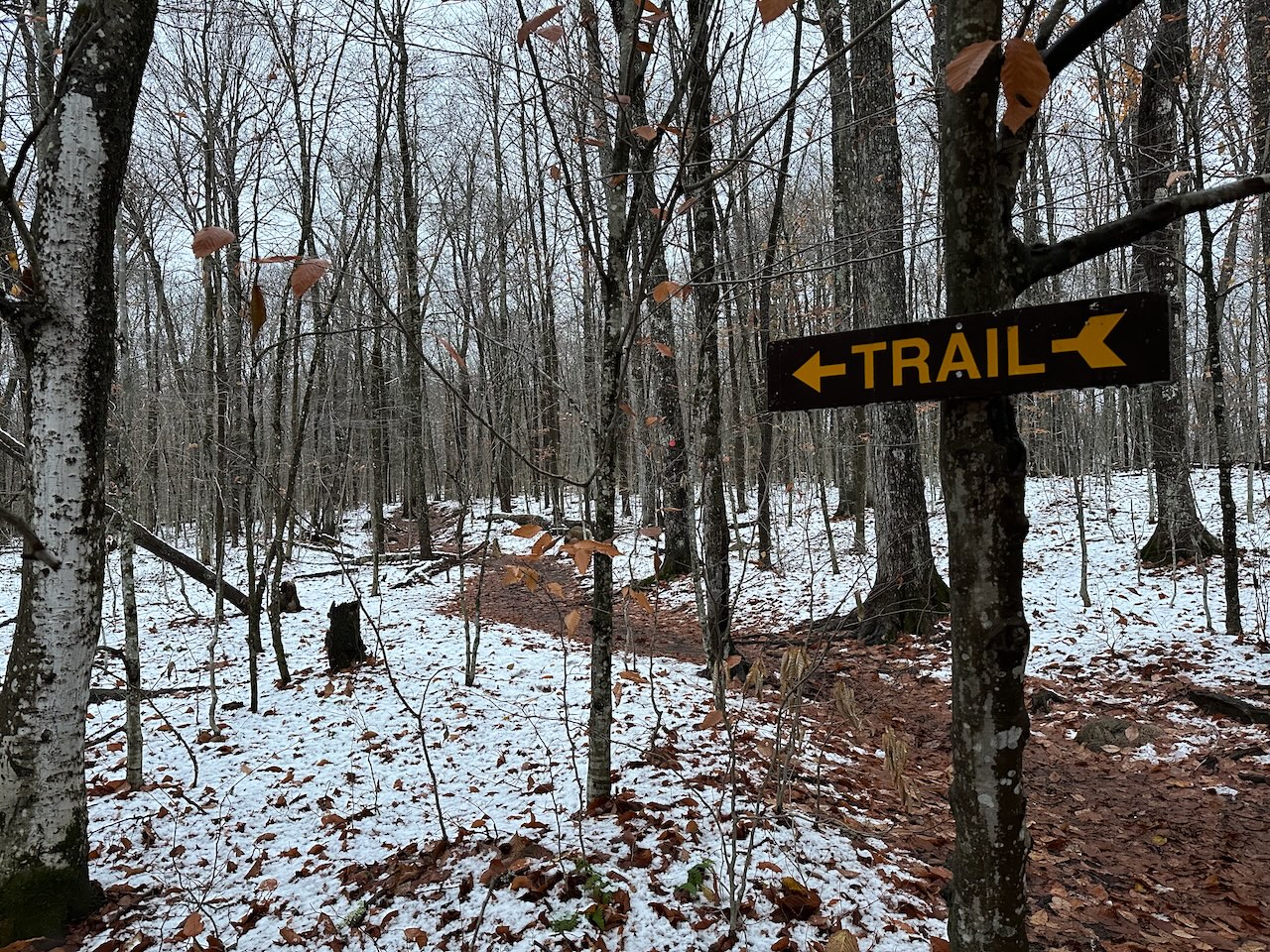 Trailhead for Bald Mountain trail. Snow is on either side of the trail.