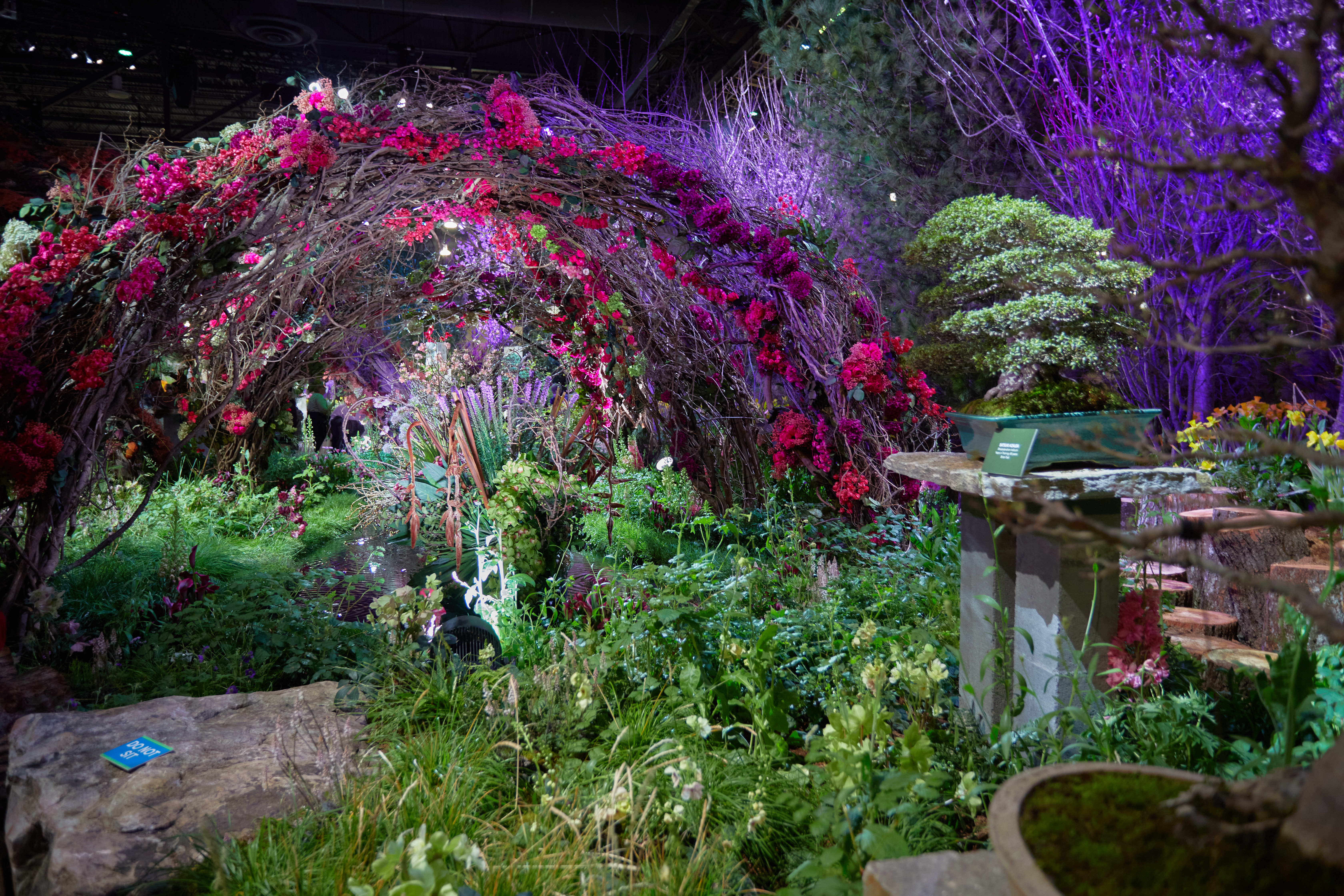 Floral exhibit in flower show.