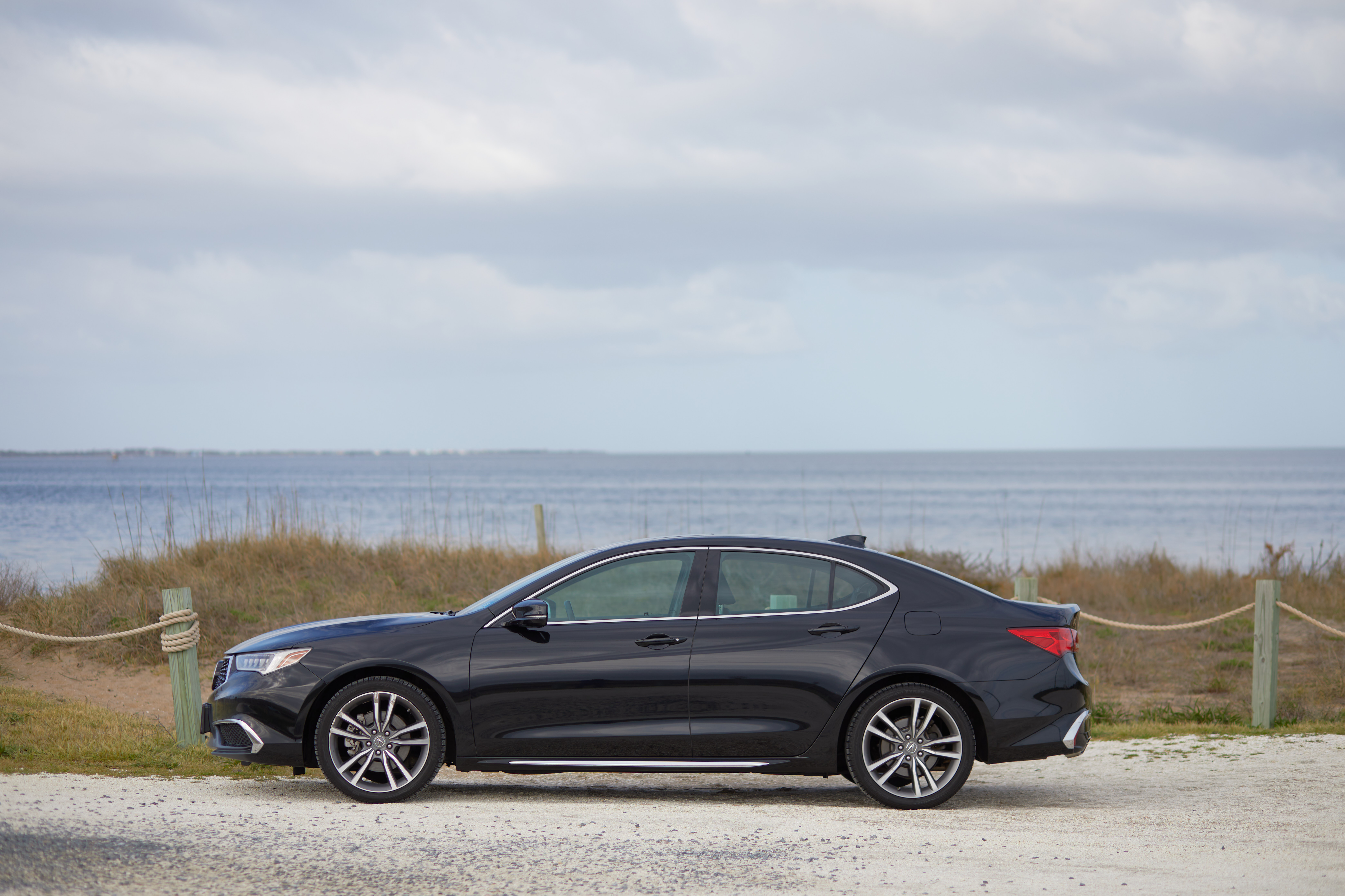 2020 Acura TLX parked in front of beach and Pamlico Sound.
