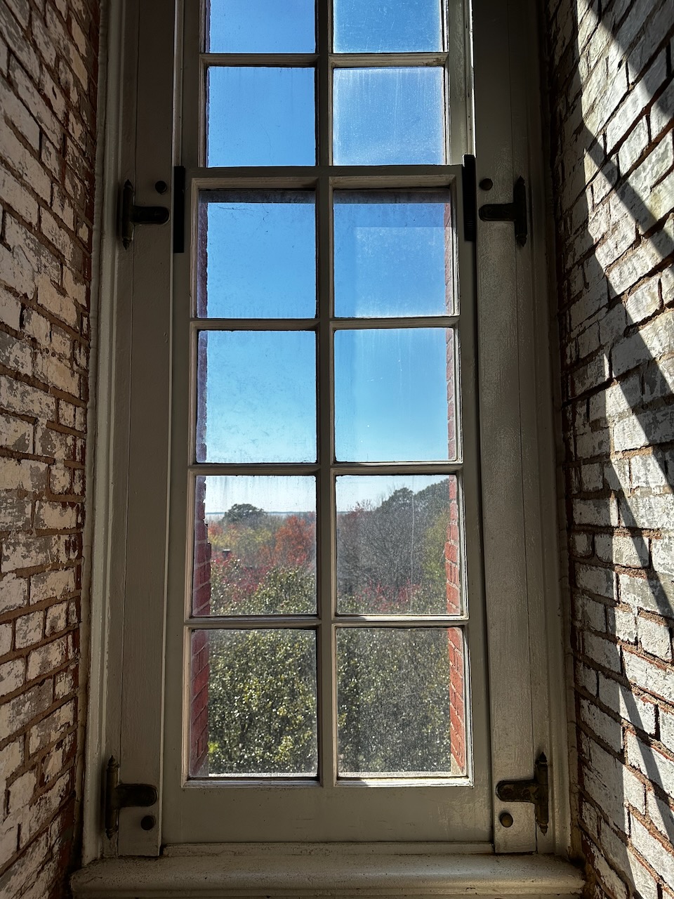 View of woods through window of lighthouse.
