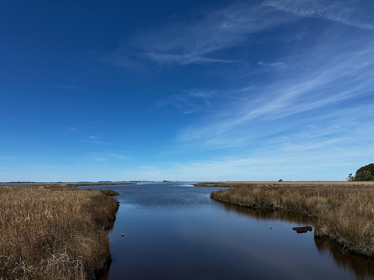 View of tidal estuary.