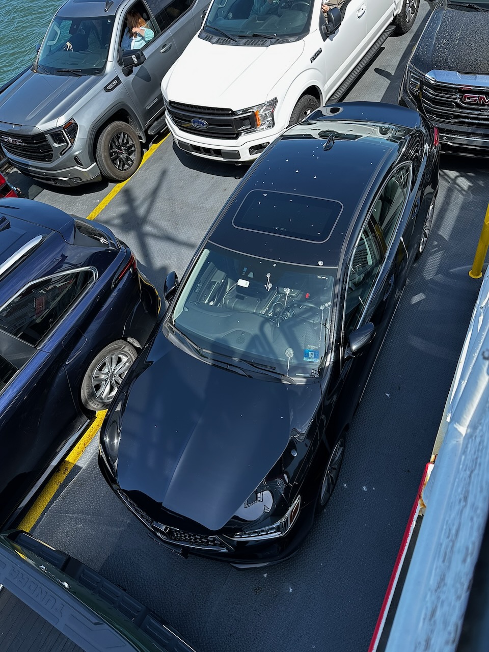 View of black Acura TLX covered in bird droppings